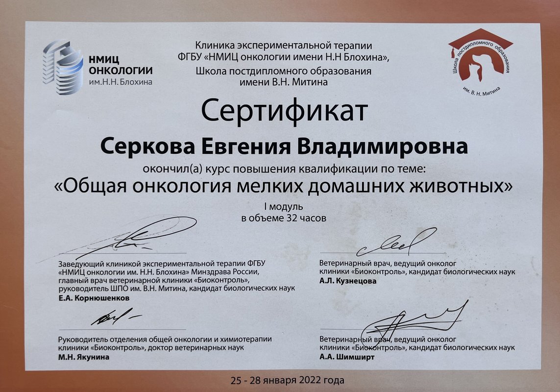 Документ или сертификат