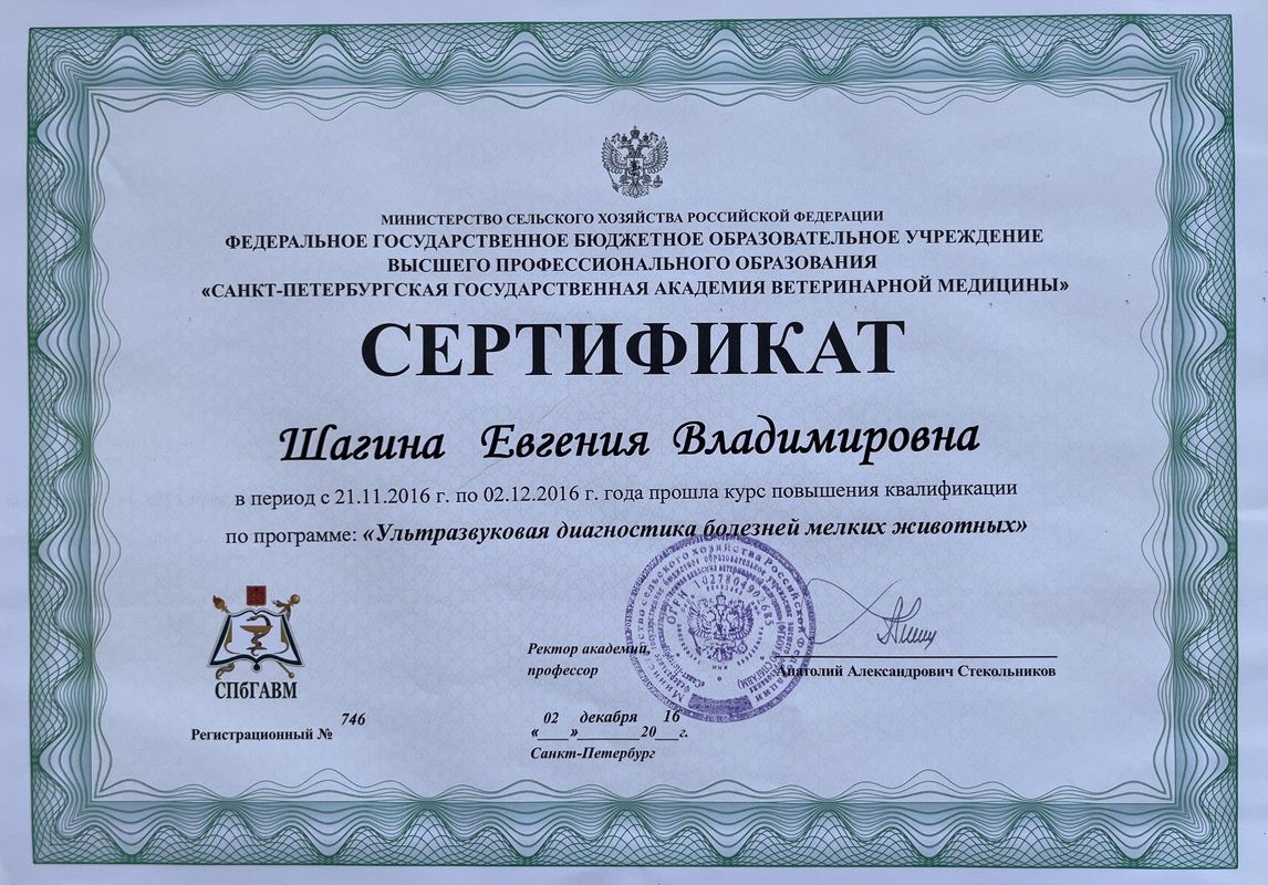 Документ или сертификат