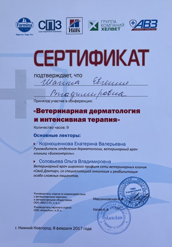 Документ или сертификат