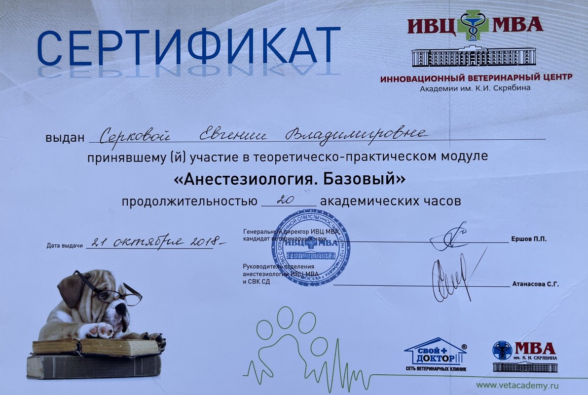 Документ или сертификат