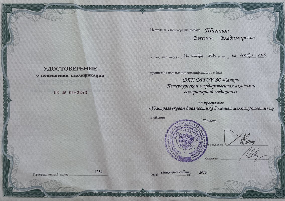 Документ или сертификат