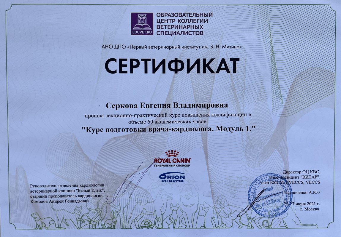 Документ или сертификат