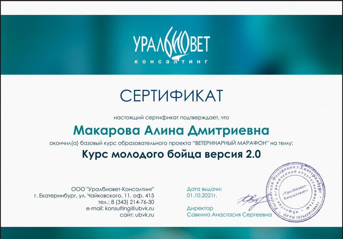 Документ или сертификат