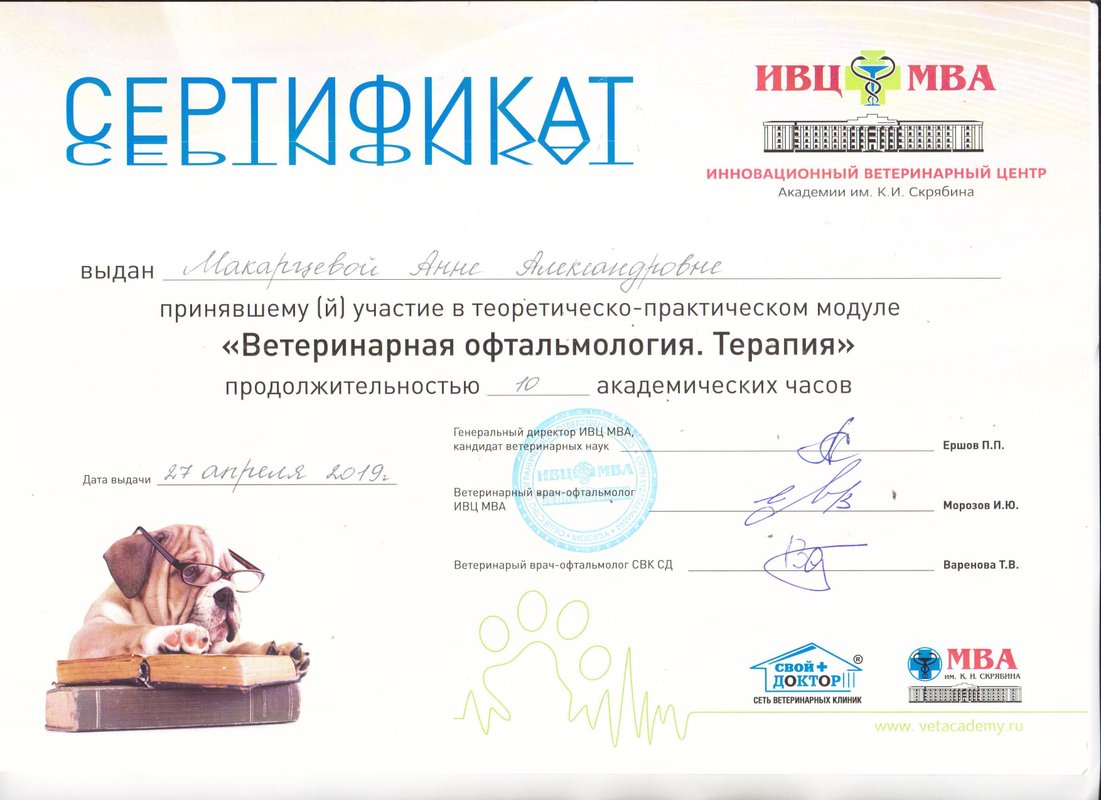 Документ или сертификат
