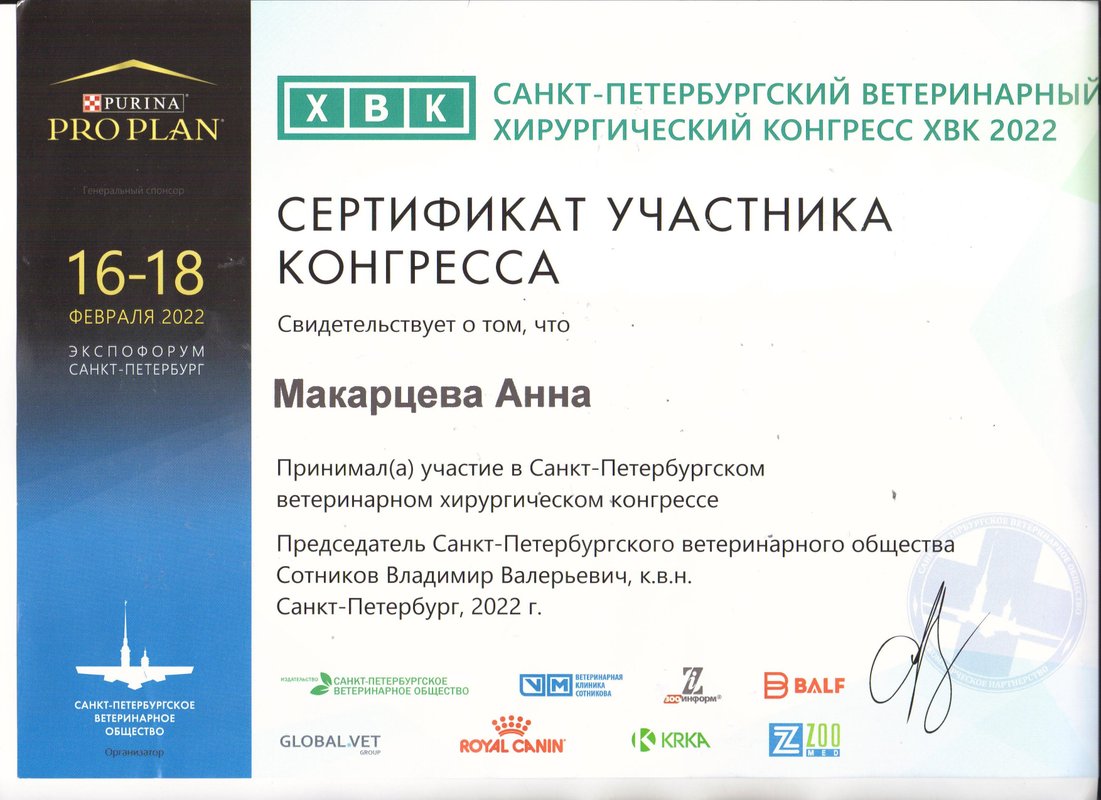 Документ или сертификат