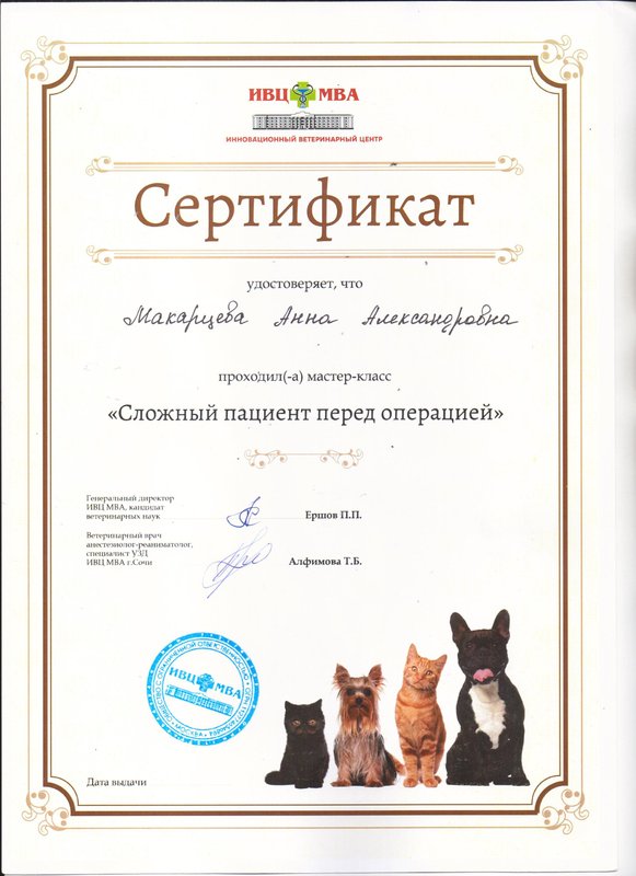 Документ или сертификат