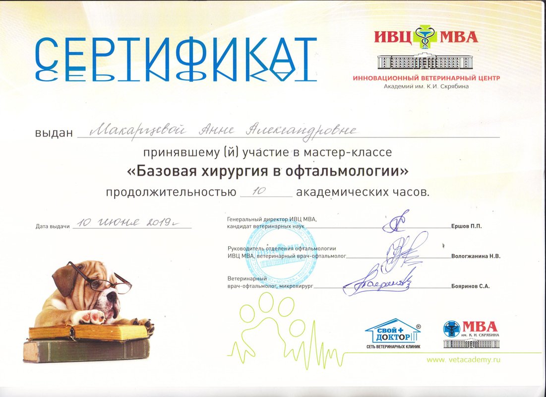Документ или сертификат