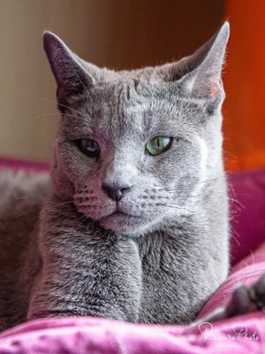 Фото врача Тимохина Марина Валентиновна