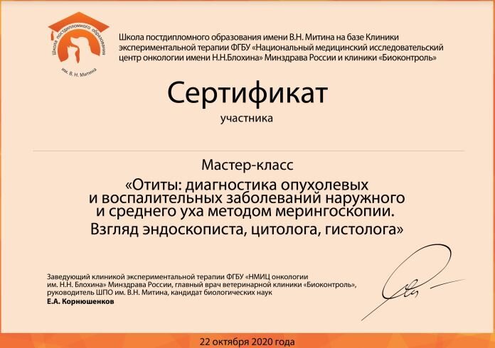 Документ или сертификат