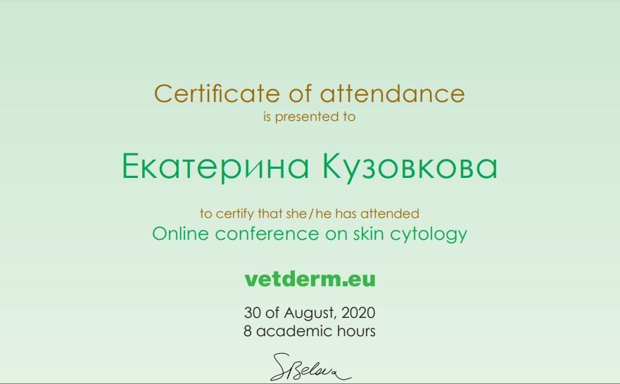 Документ или сертификат