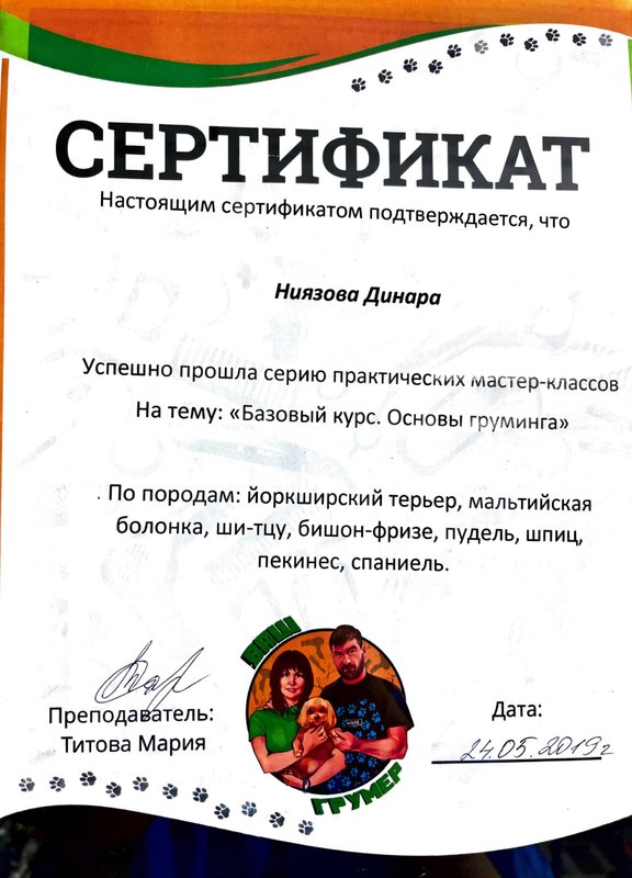 Документ или сертификат