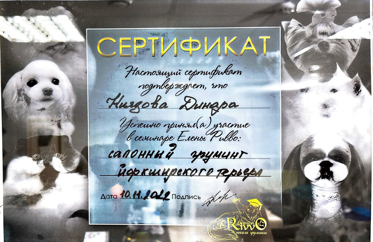 Документ или сертификат