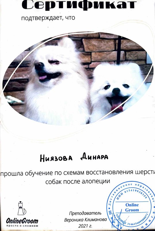 Документ или сертификат