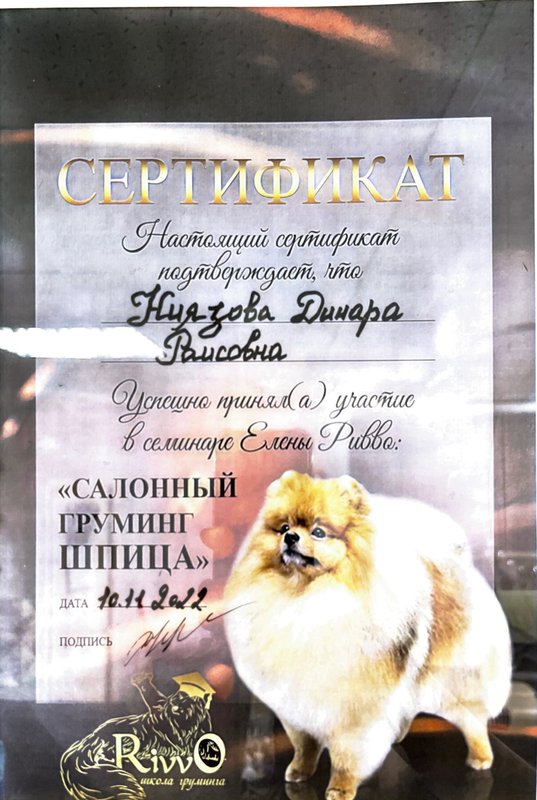 Документ или сертификат