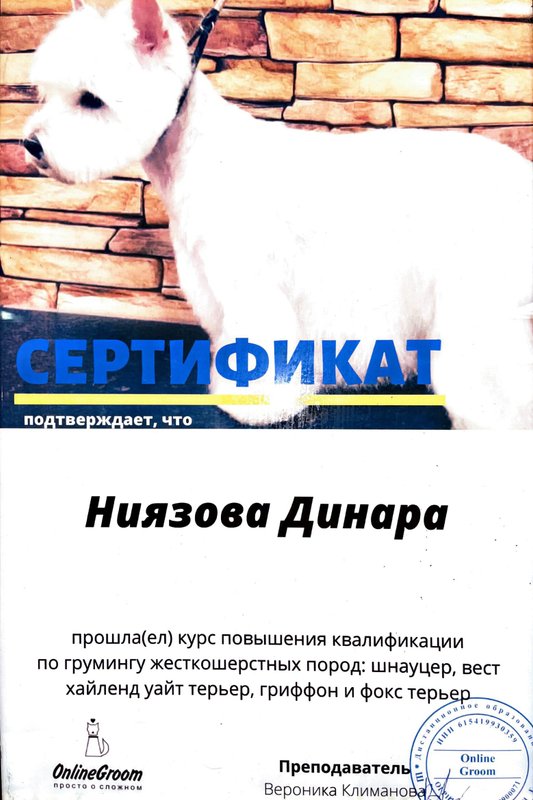 Документ или сертификат