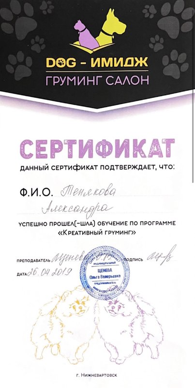 Документ или сертификат