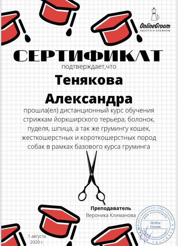 Документ или сертификат