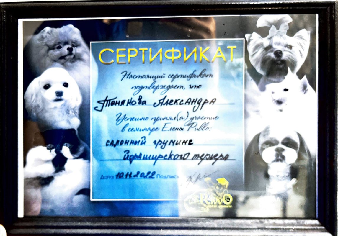 Документ или сертификат