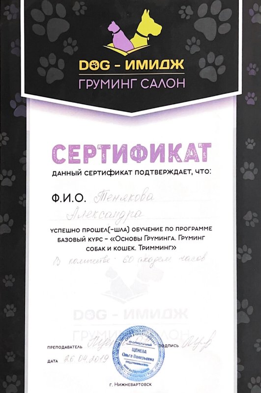 Документ или сертификат
