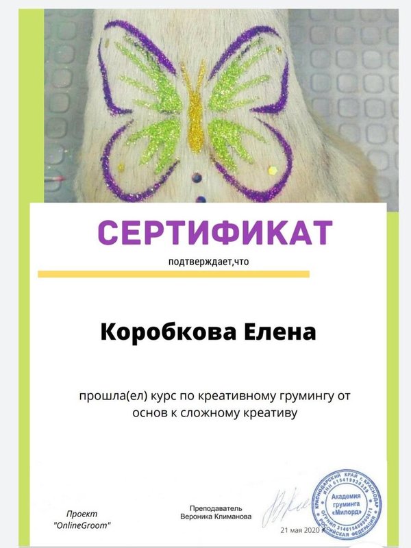 Документ или сертификат