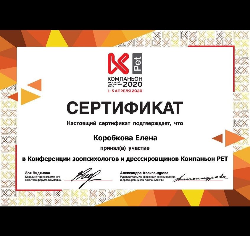 Документ или сертификат