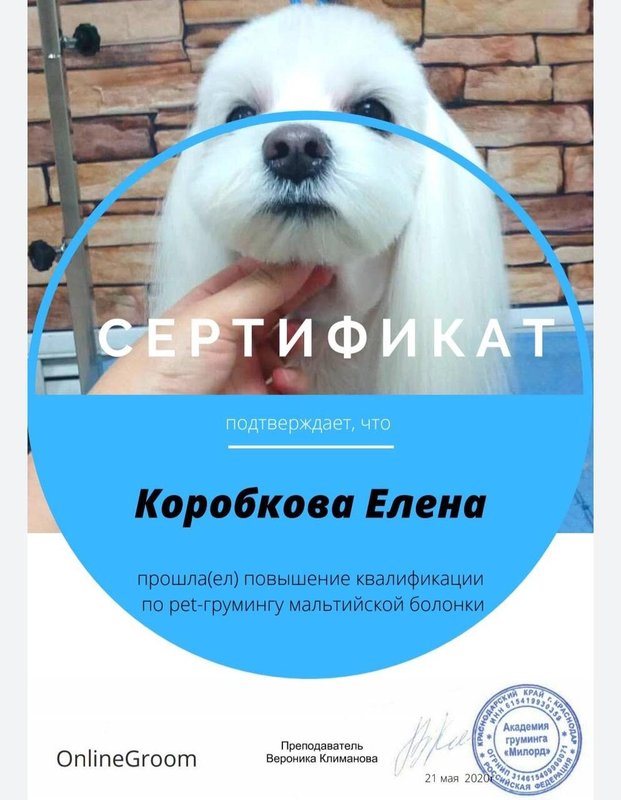 Документ или сертификат