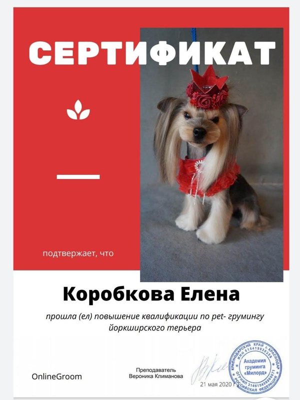 Документ или сертификат