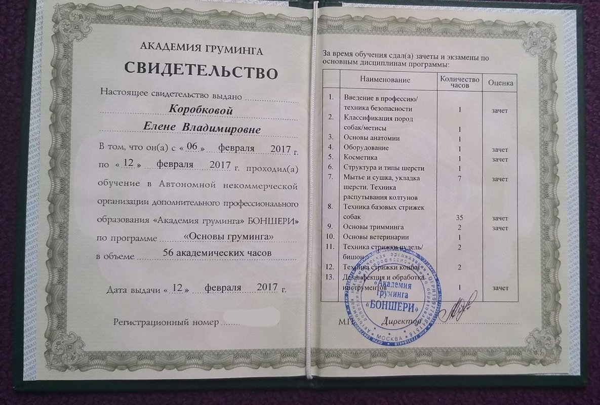 Документ или сертификат