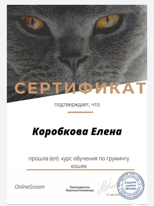 Документ или сертификат