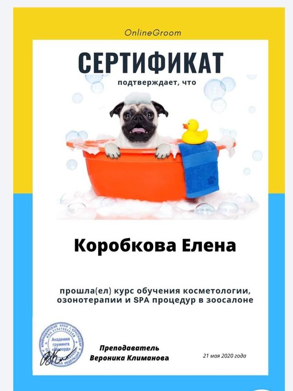 Документ или сертификат