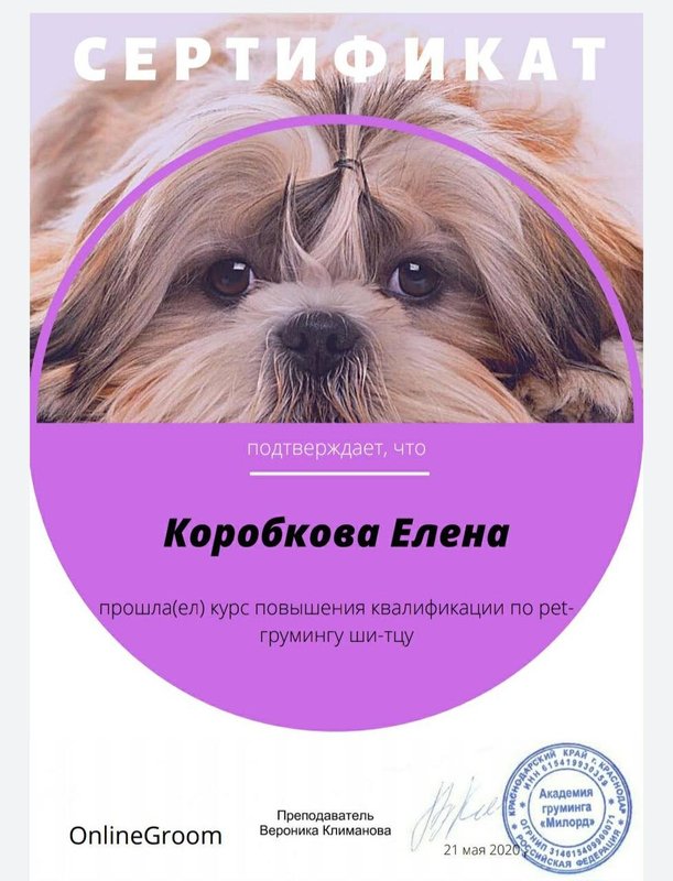 Документ или сертификат