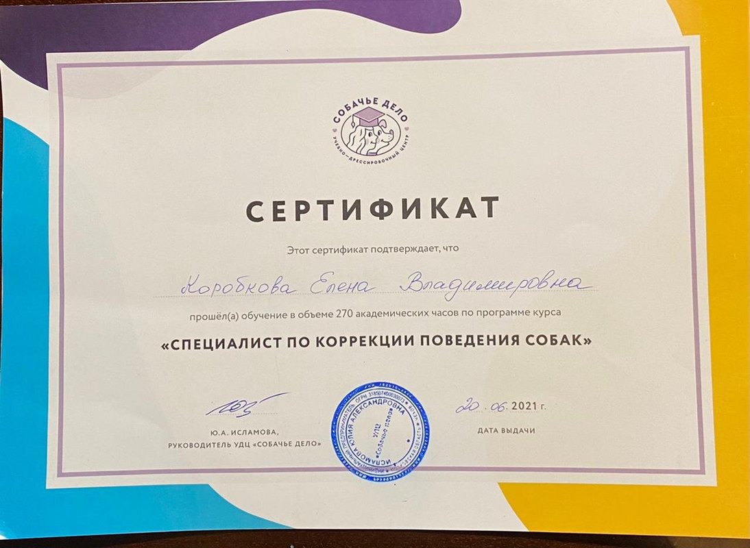 Документ или сертификат