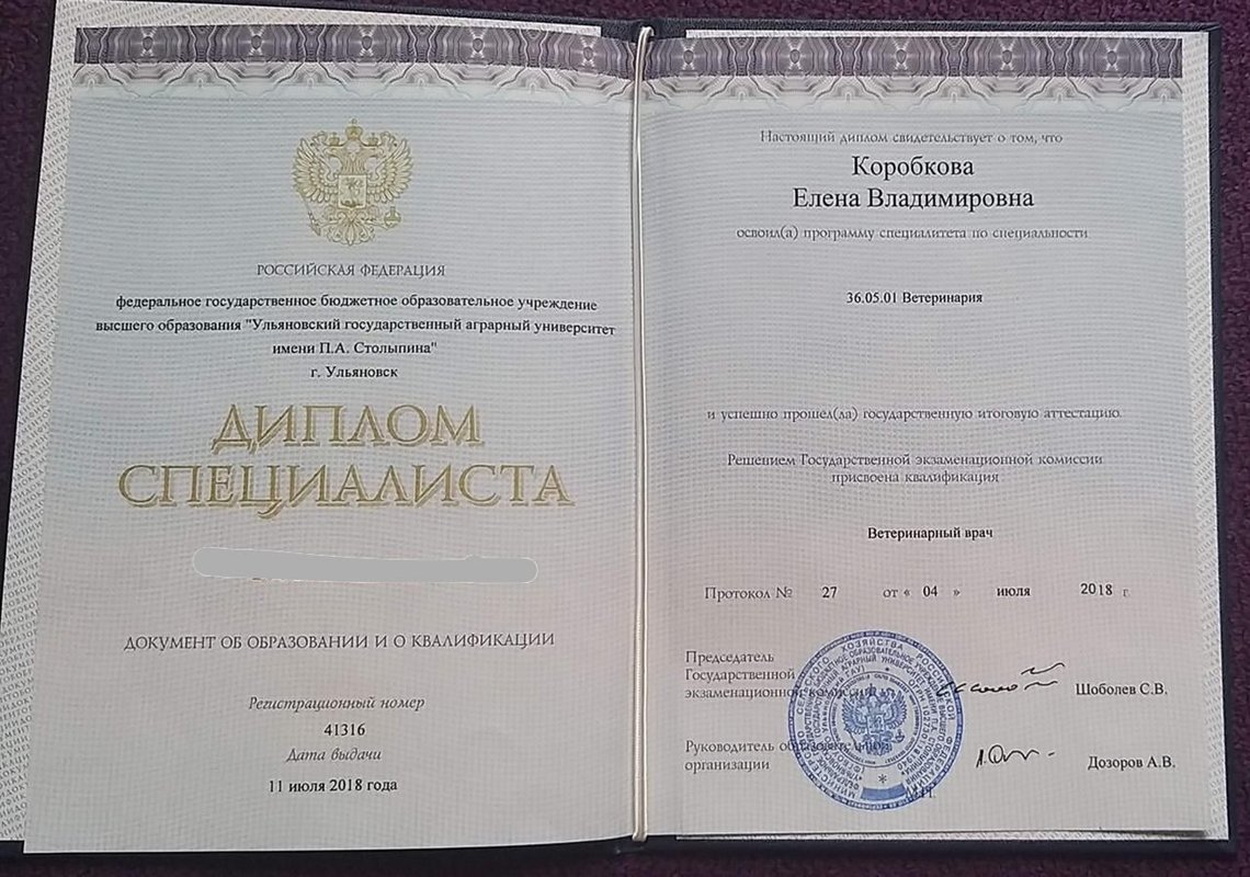 Документ или сертификат