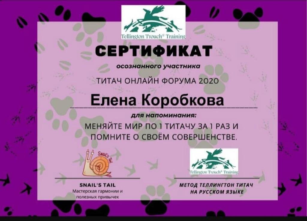 Документ или сертификат