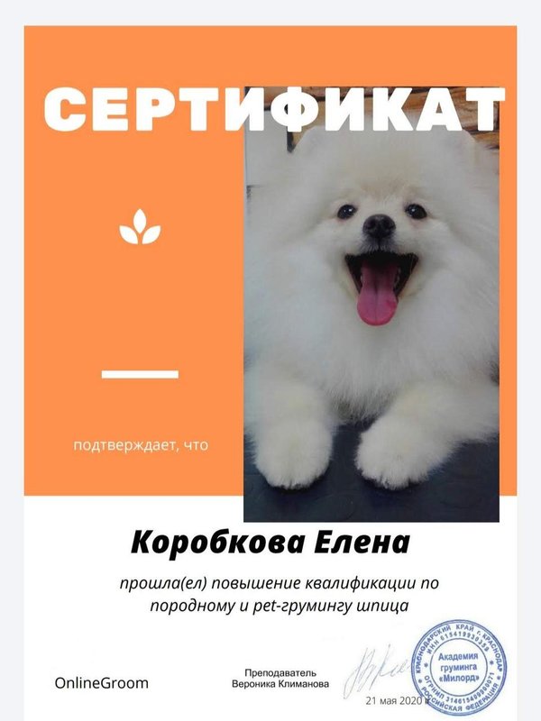 Документ или сертификат