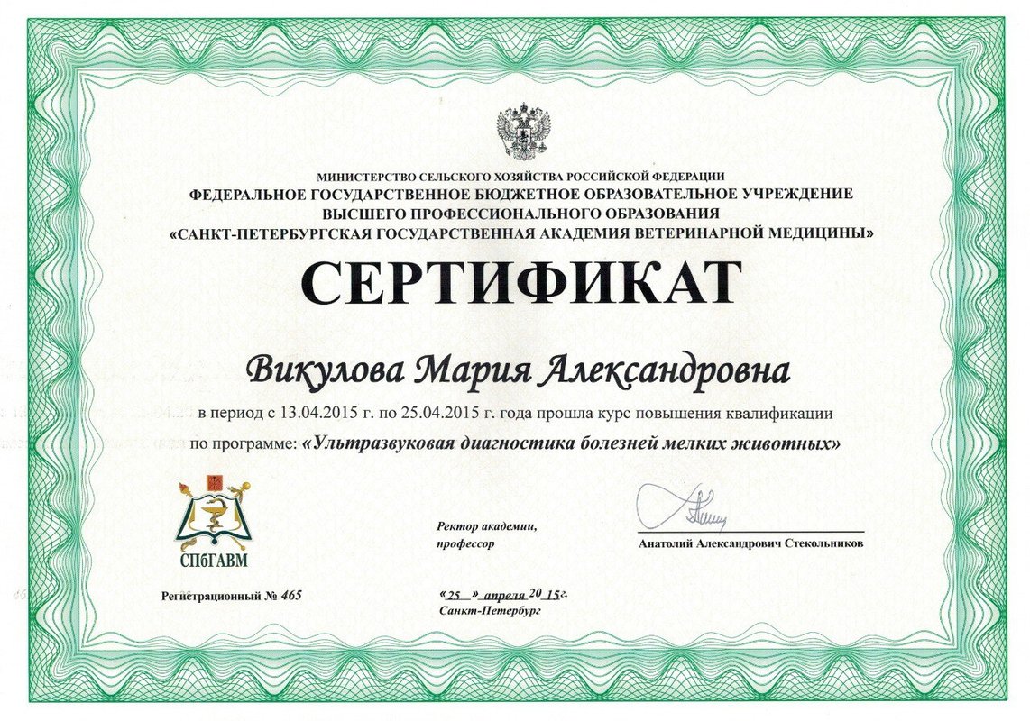 Документ или сертификат
