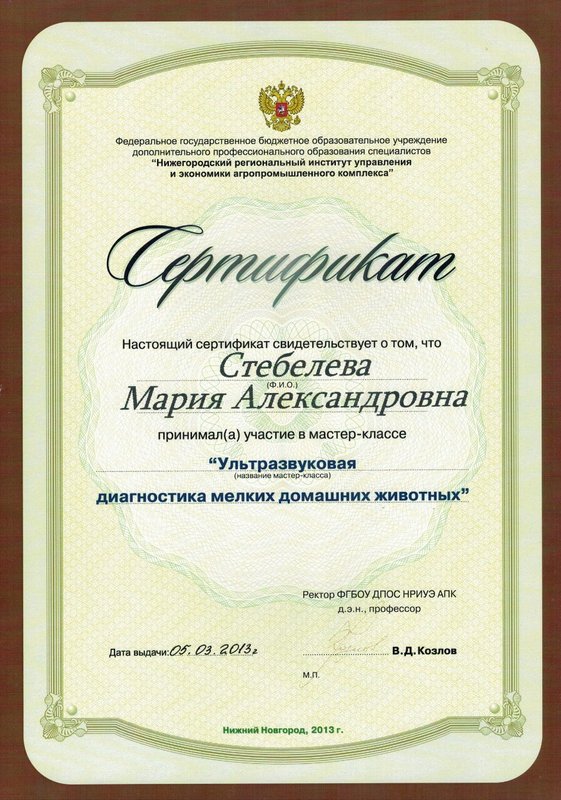 Документ или сертификат