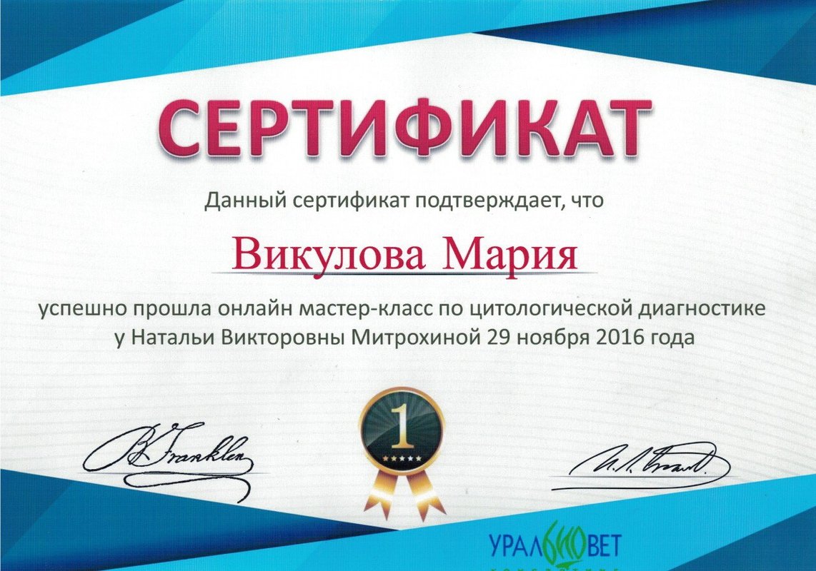 Документ или сертификат