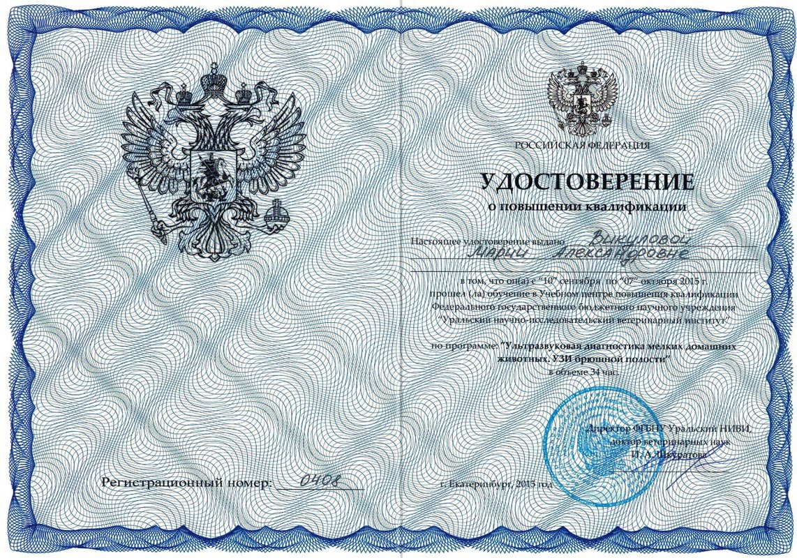 Документ или сертификат