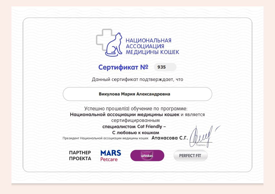 Документ или сертификат