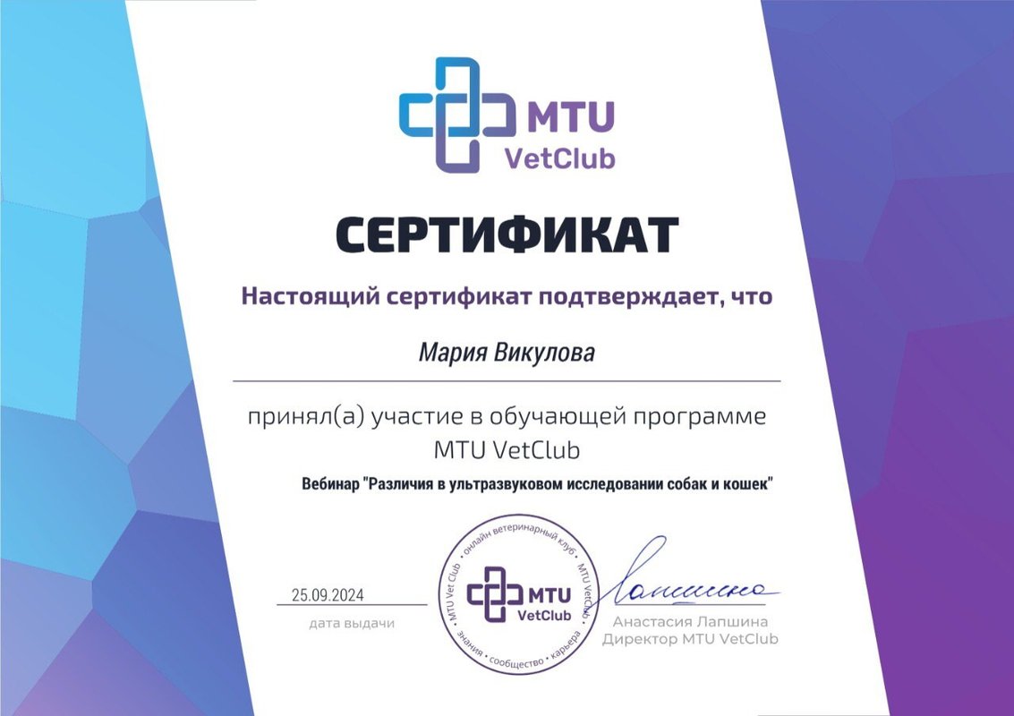 Документ или сертификат