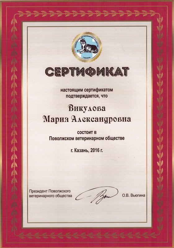Документ или сертификат