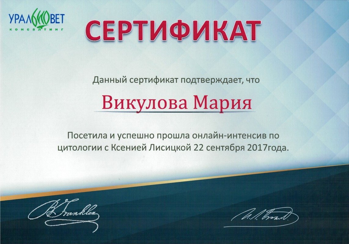 Документ или сертификат
