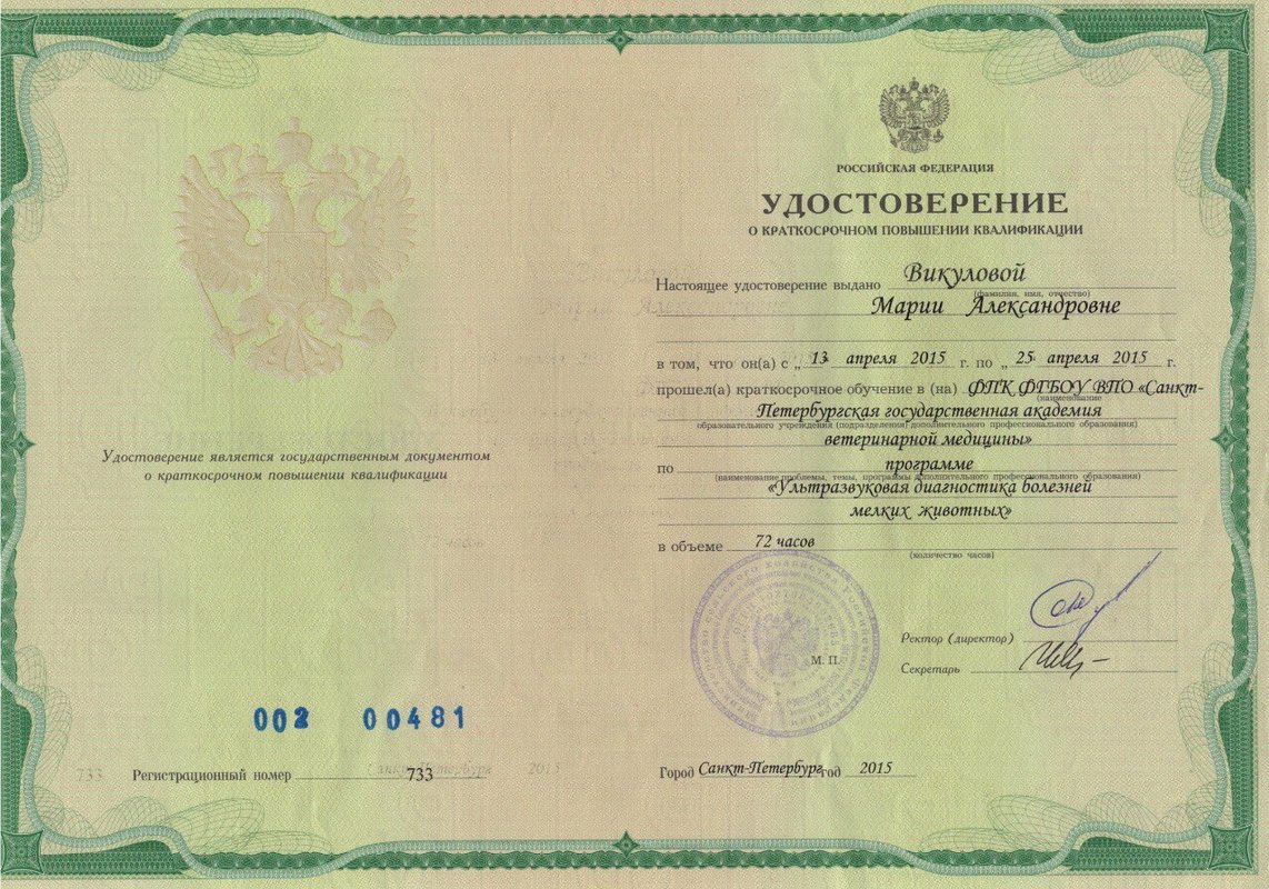 Документ или сертификат