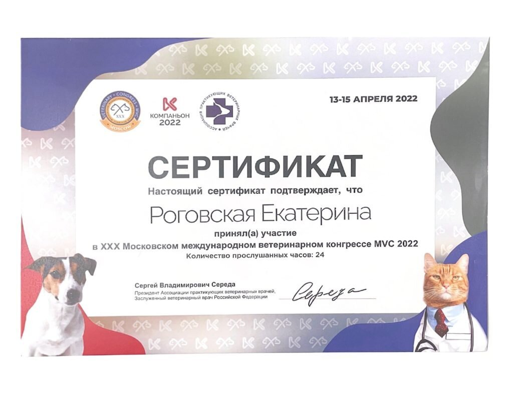 Документ или сертификат