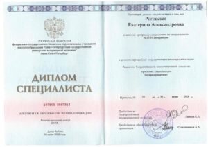 Документ или сертификат
