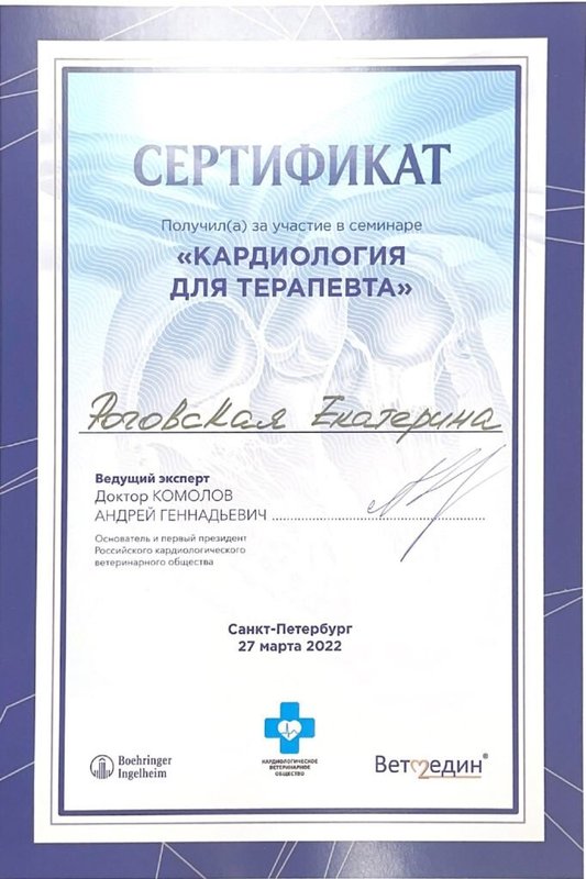 Документ или сертификат