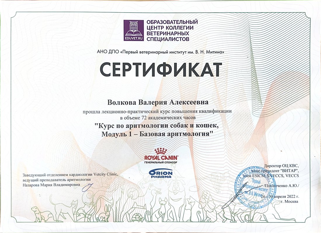 Документ или сертификат