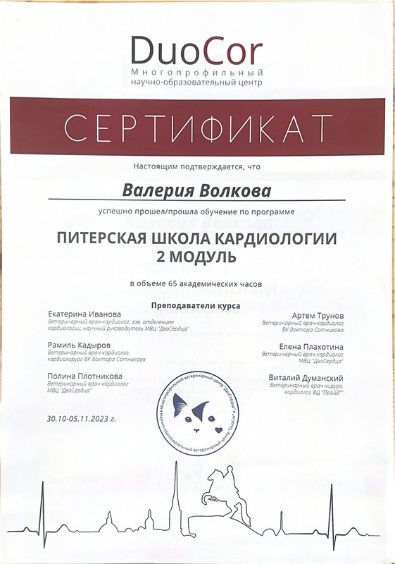 Документ или сертификат