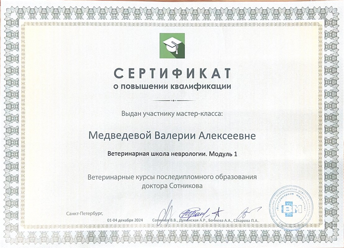 Документ или сертификат